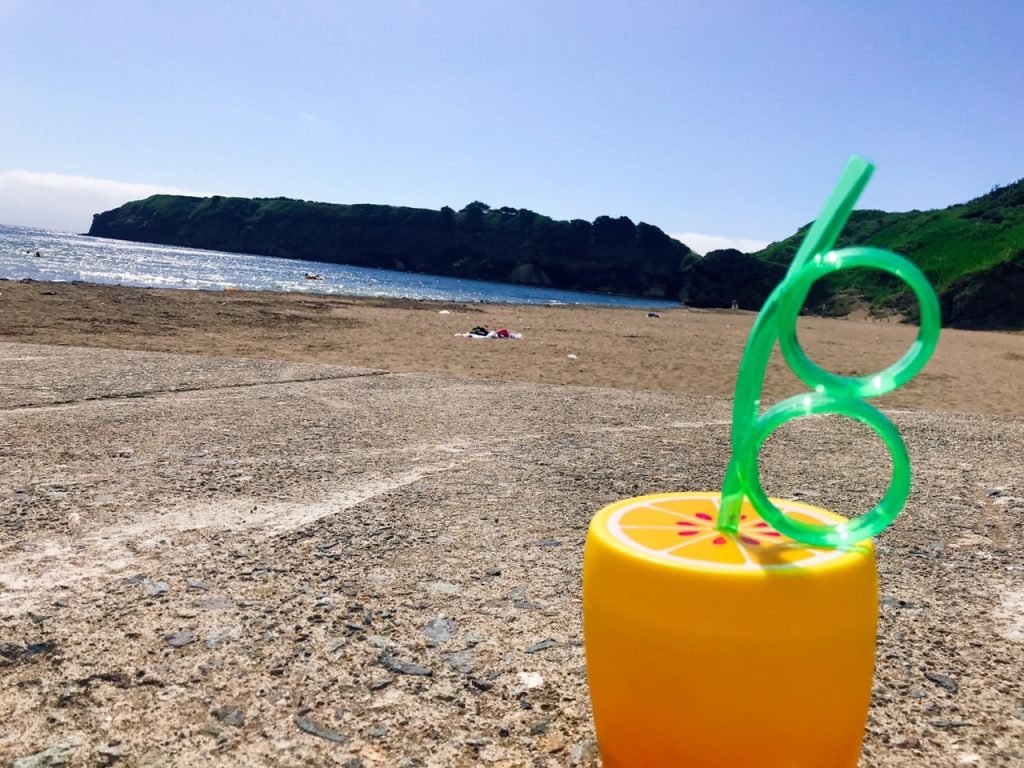 🏞️ 키지히키 고원 파노라마 전망대(키지히키코겐 파노라마 텐보다이) 이미지 5